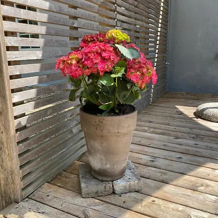 Apt17 - Quiet Countryside - Only Minutes From Daire Billund