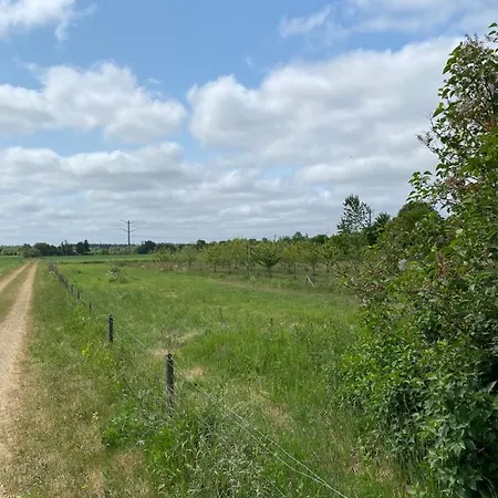 Apt17 - Just Outside Of - Rural&quiet Surroundings Appartement *