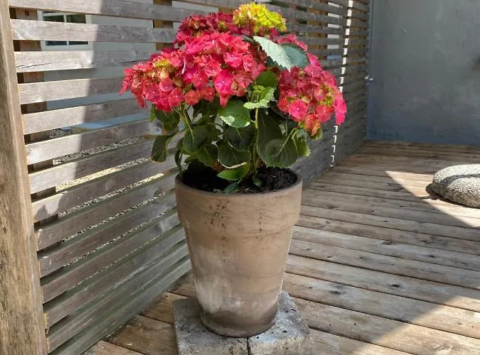 Apt17 - Quiet Countryside - Only Minutes From Apartment Billund