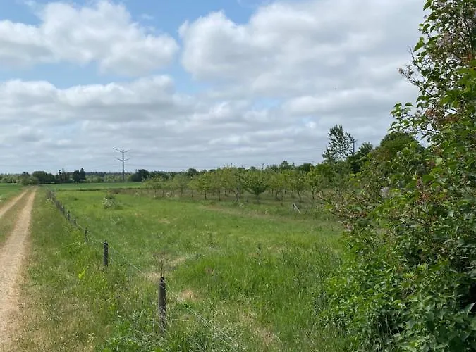 Apt17 - Quiet Countryside - Only Minutes From Apartment *